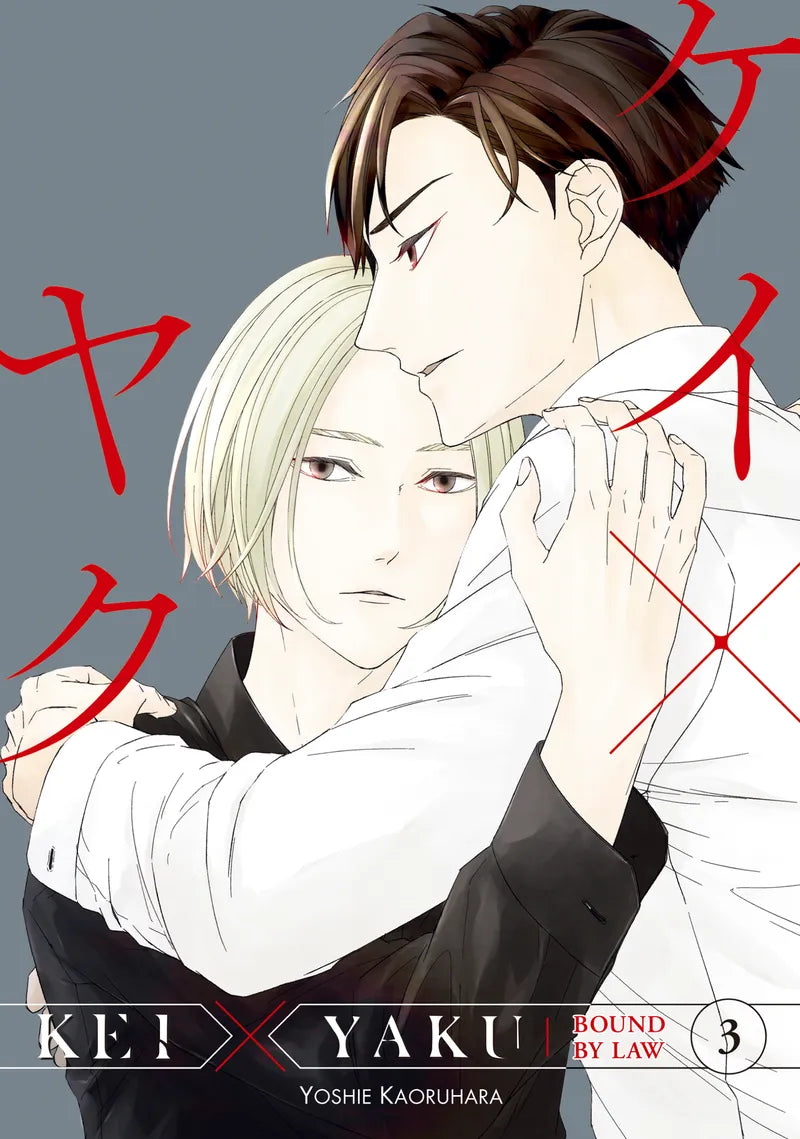 Kei X Yaku: Bound By Law 3 — manga cover