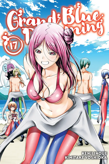Grand Blue Dreaming 17 — manga cover