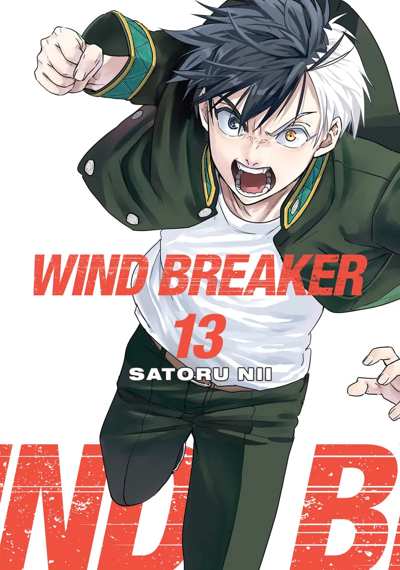 WIND BREAKER 13 — manga cover