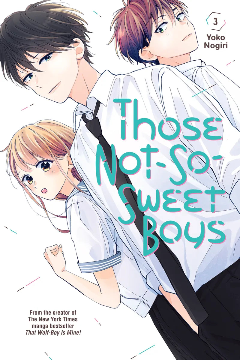 Those Not-So-Sweet Boys 3 — manga cover