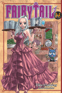 Fairy Tail 14 (sold out)