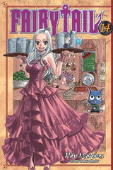 Fairy Tail 14