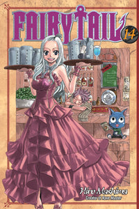 Fairy Tail 14