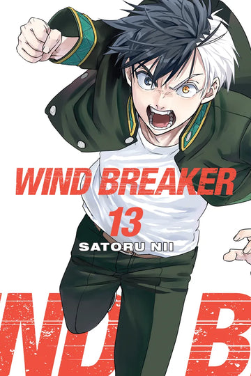 WIND BREAKER 13 — manga cover