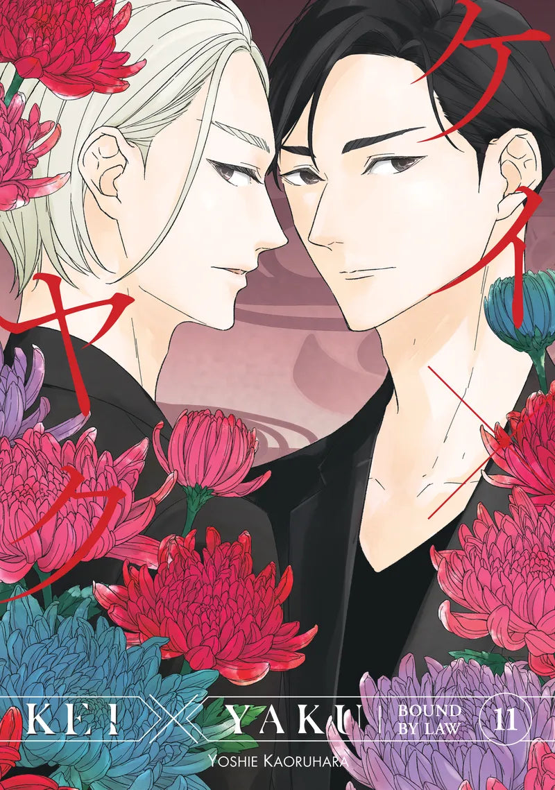 Kei X Yaku: Bound By Law 11 — manga cover