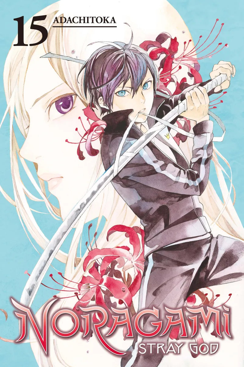 Noragami Volume 15 — manga cover