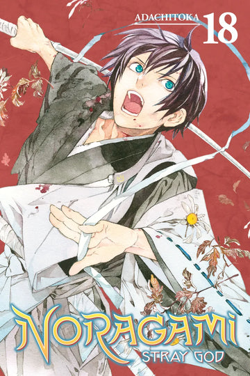 Noragami: Stray God 18 — manga cover