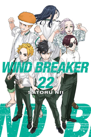 WIND BREAKER 22 — manga cover
