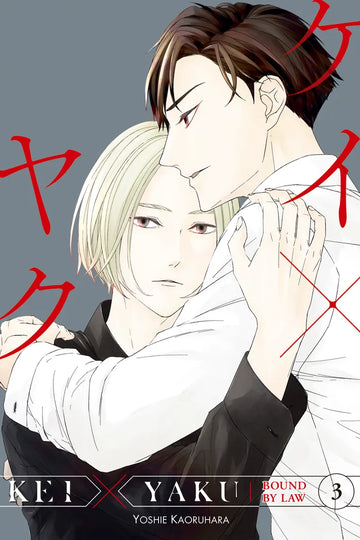 Kei X Yaku: Bound By Law 3 — manga cover