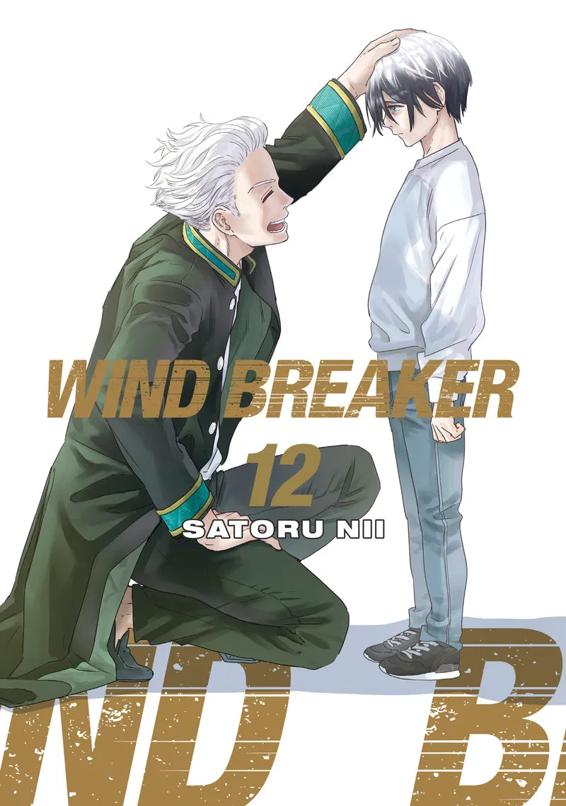 WIND BREAKER 12 — manga cover
