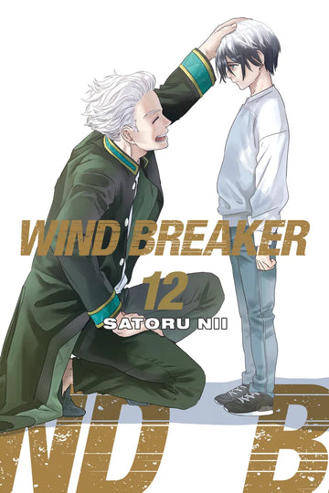 WIND BREAKER 12 — manga cover
