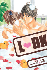 Ldk 13