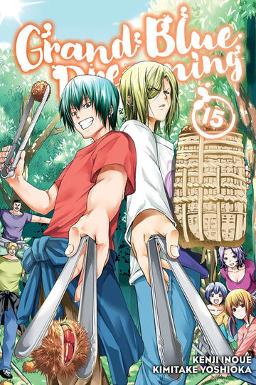 Grand Blue Dreaming 15 — manga cover