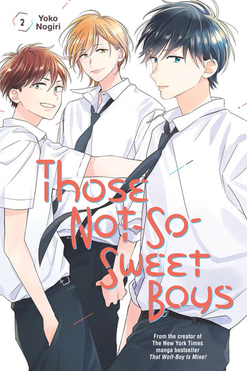 Those Not-So-Sweet Boys 2 — manga cover