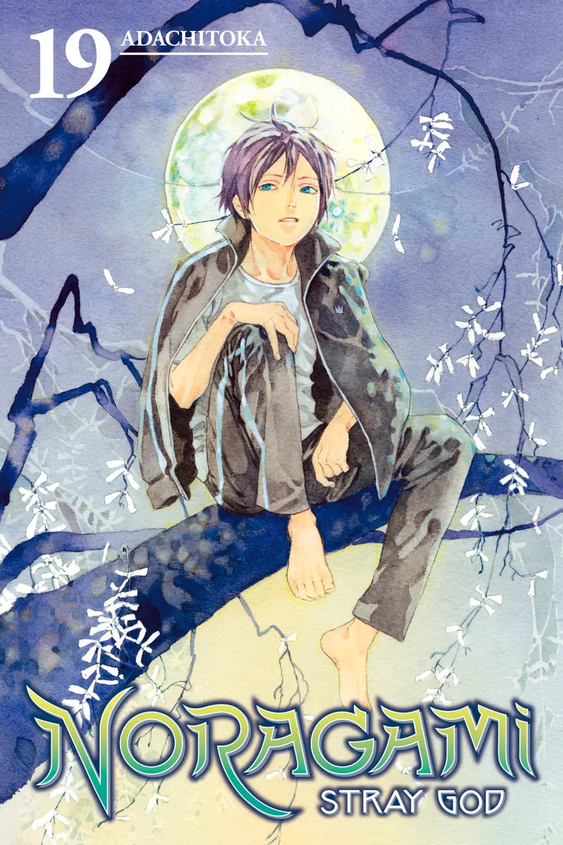 Noragami: Stray God 19 — manga cover