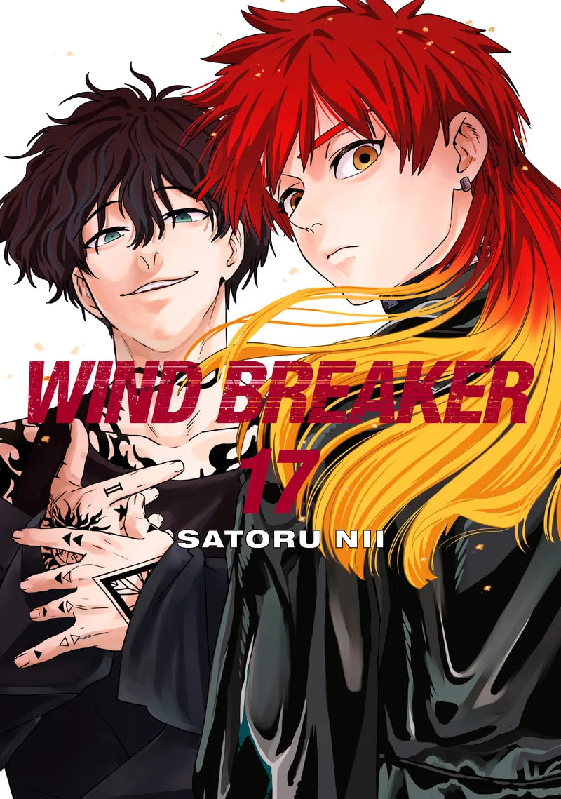 WIND BREAKER 17 — manga cover