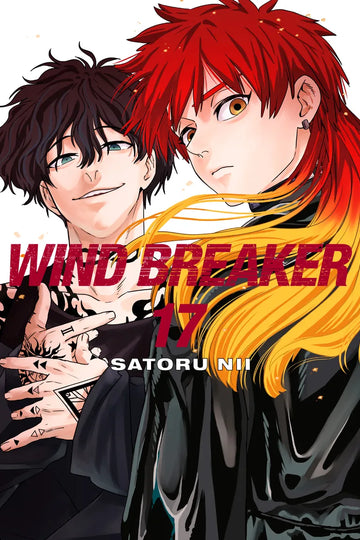 WIND BREAKER 17 — manga cover