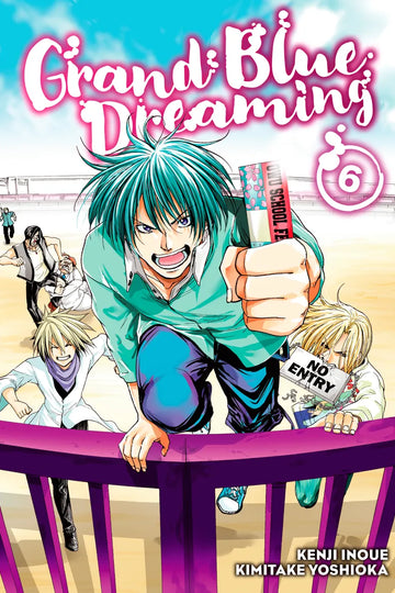 Grand Blue Dreaming 6 — manga cover
