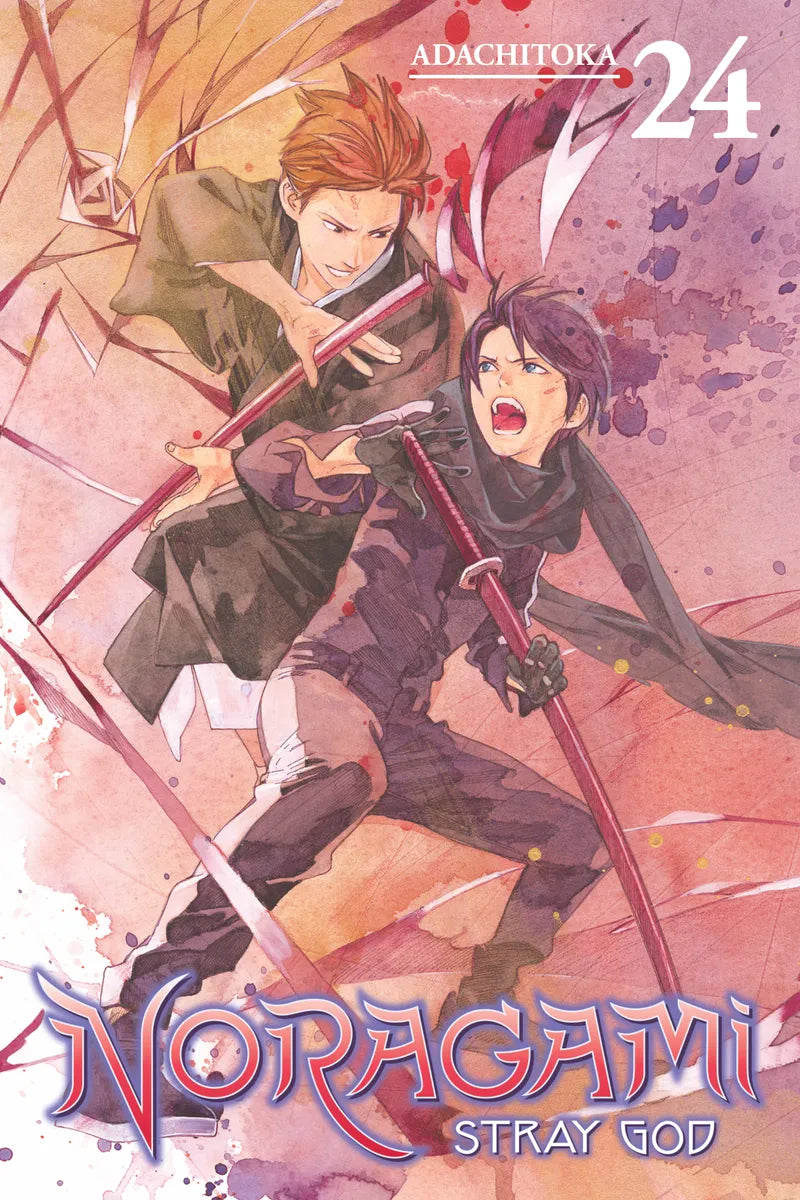Noragami: Stray God 24 — manga cover