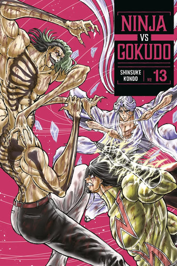 Ninja Vs. Gokudo 13 — manga cover