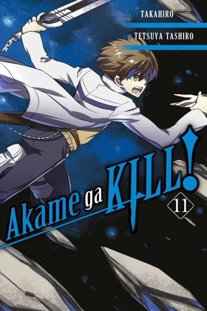 Akame ga KILL!, Vol. 11 — manga cover