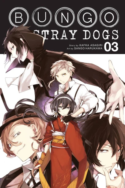 Bungo Stray Dogs, Vol. 3 — manga cover