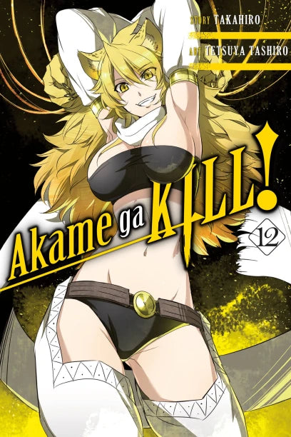 Akame ga KILL!, Vol. 12 — manga cover