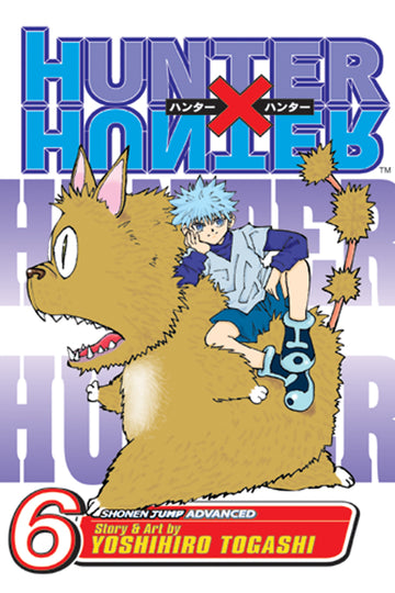 Hunter x Hunter, Vol. 6 — manga cover
