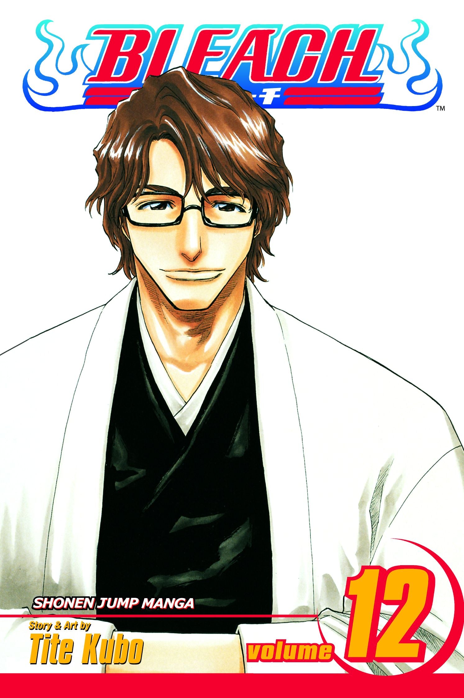 Bleach, Vol. 12 — manga cover