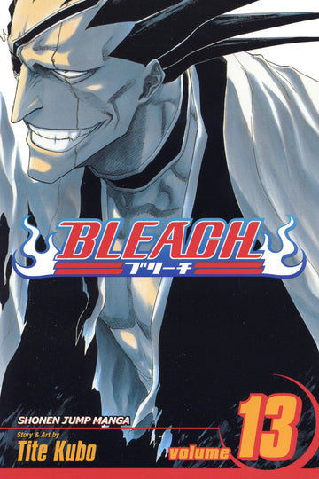 Bleach, Vol. 13 — manga cover