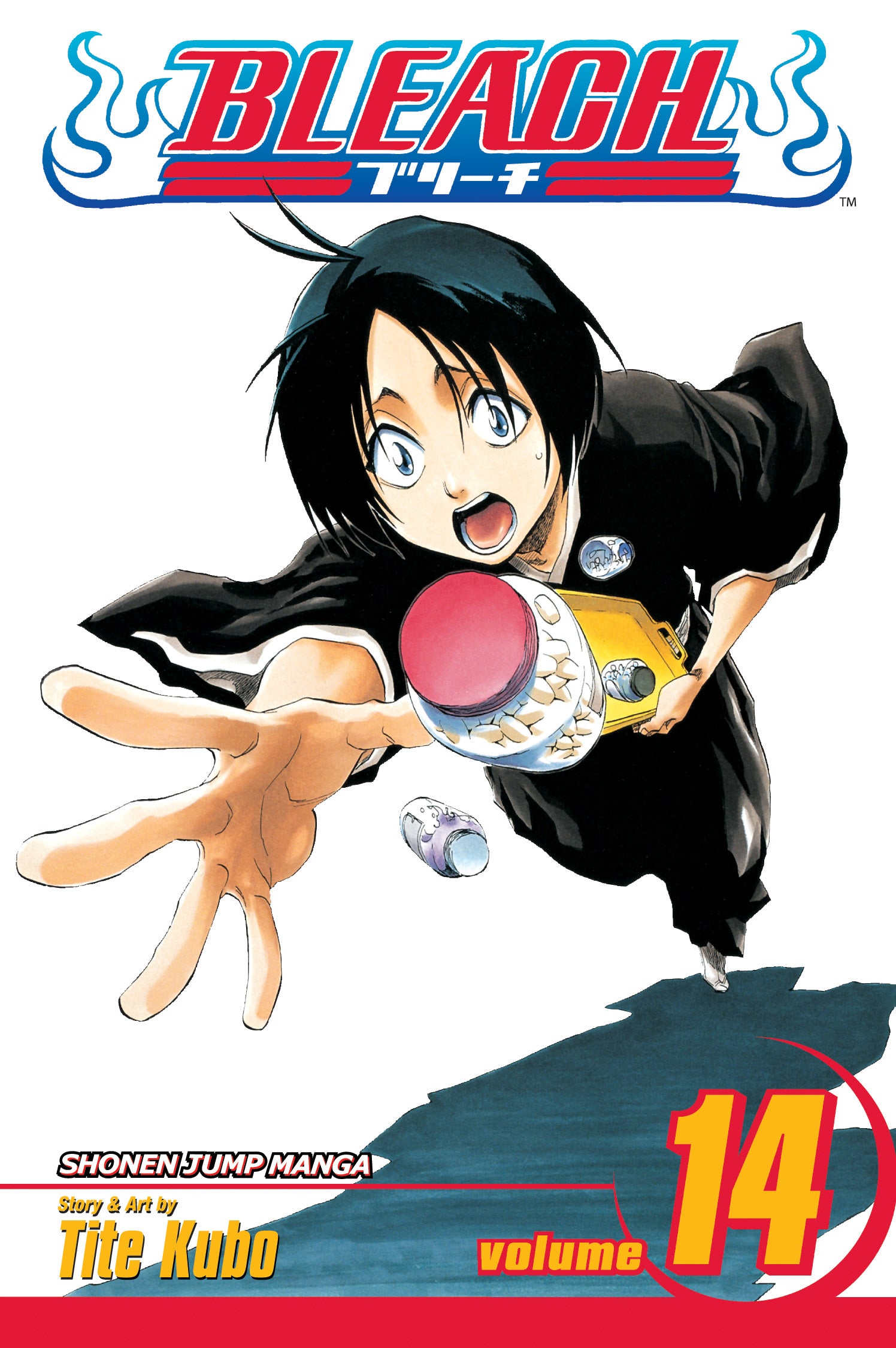 Bleach, Vol. 14 — manga cover