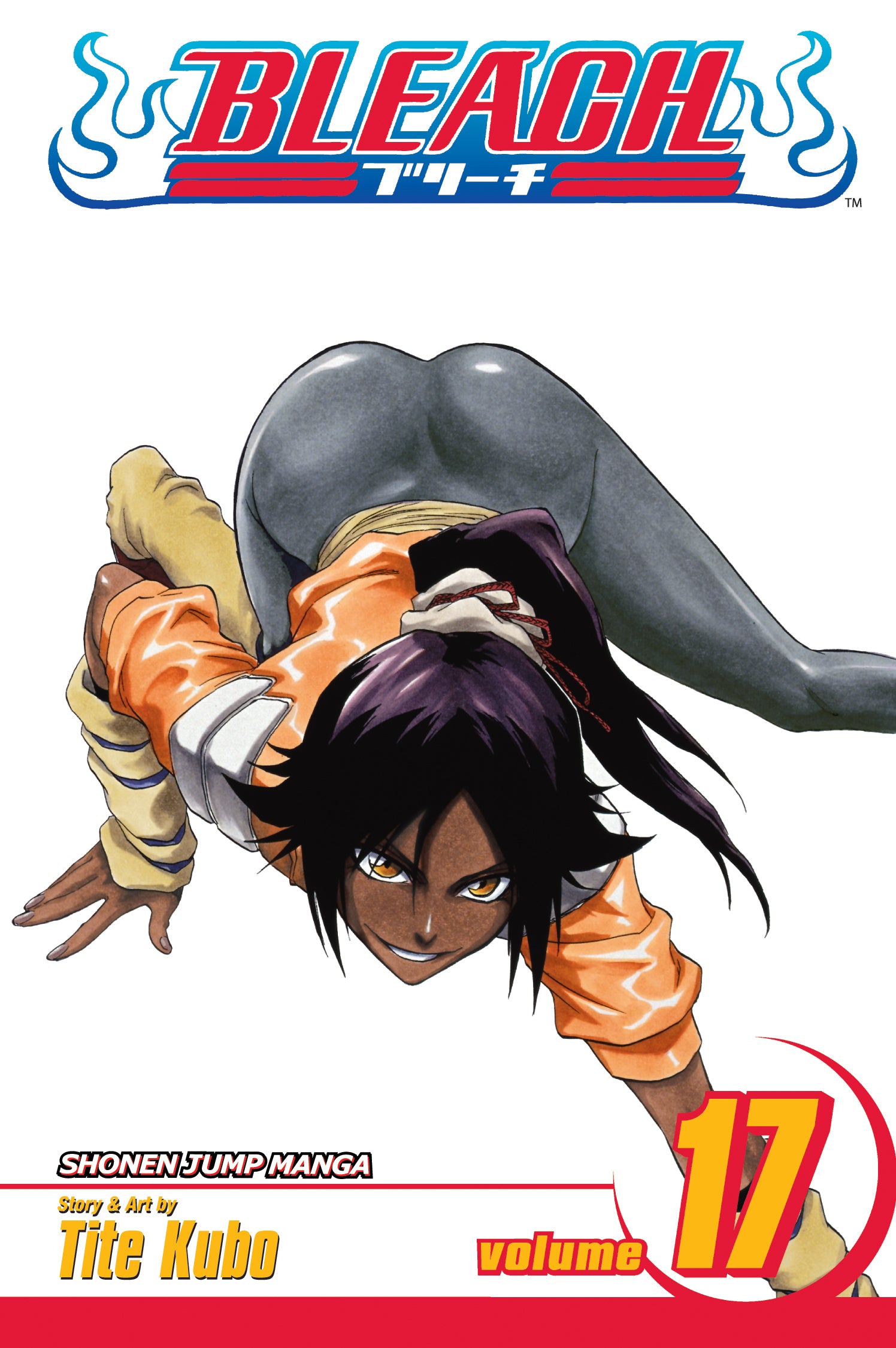 Bleach, Vol. 17 — manga cover