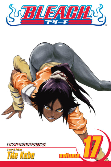 Bleach, Vol. 17 — manga cover