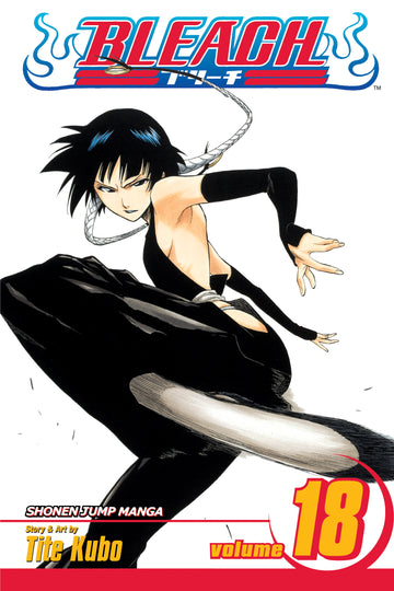 Bleach, Vol. 18 — manga cover