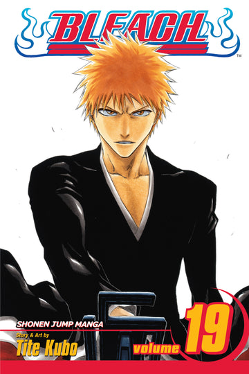 Bleach, Vol. 19 — manga cover