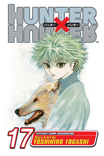 Hunter x Hunter, Vol. 17 — manga cover