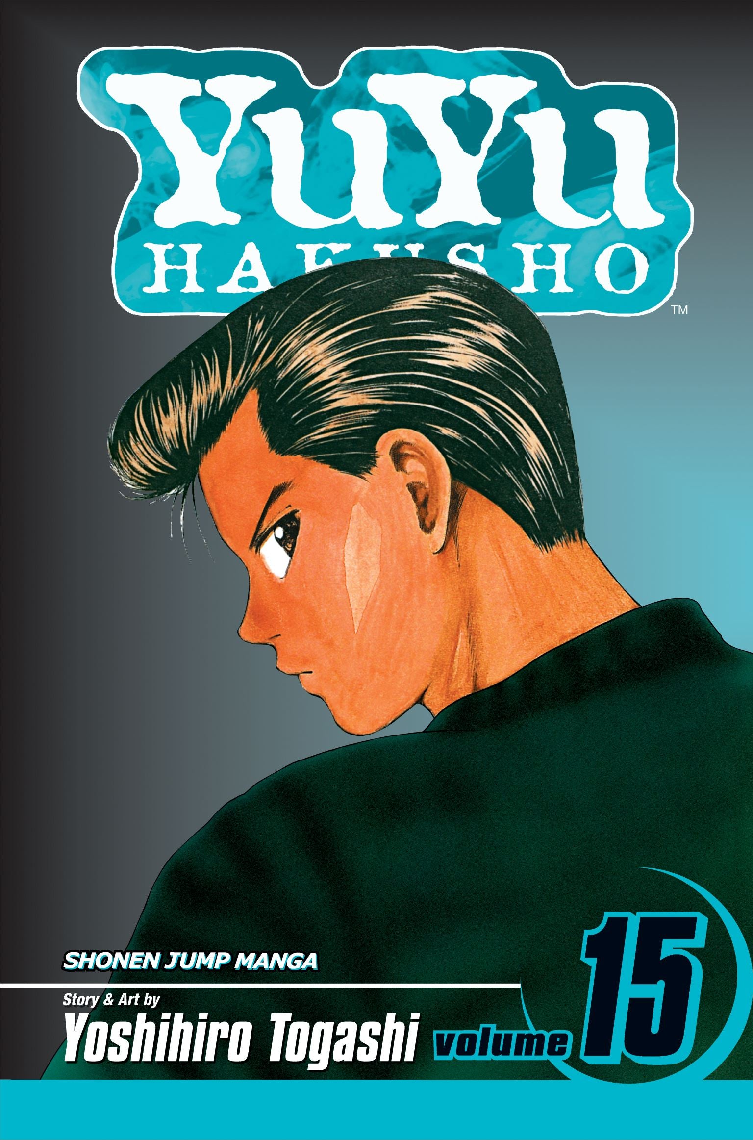 YuYu Hakusho, Vol. 15 — manga cover