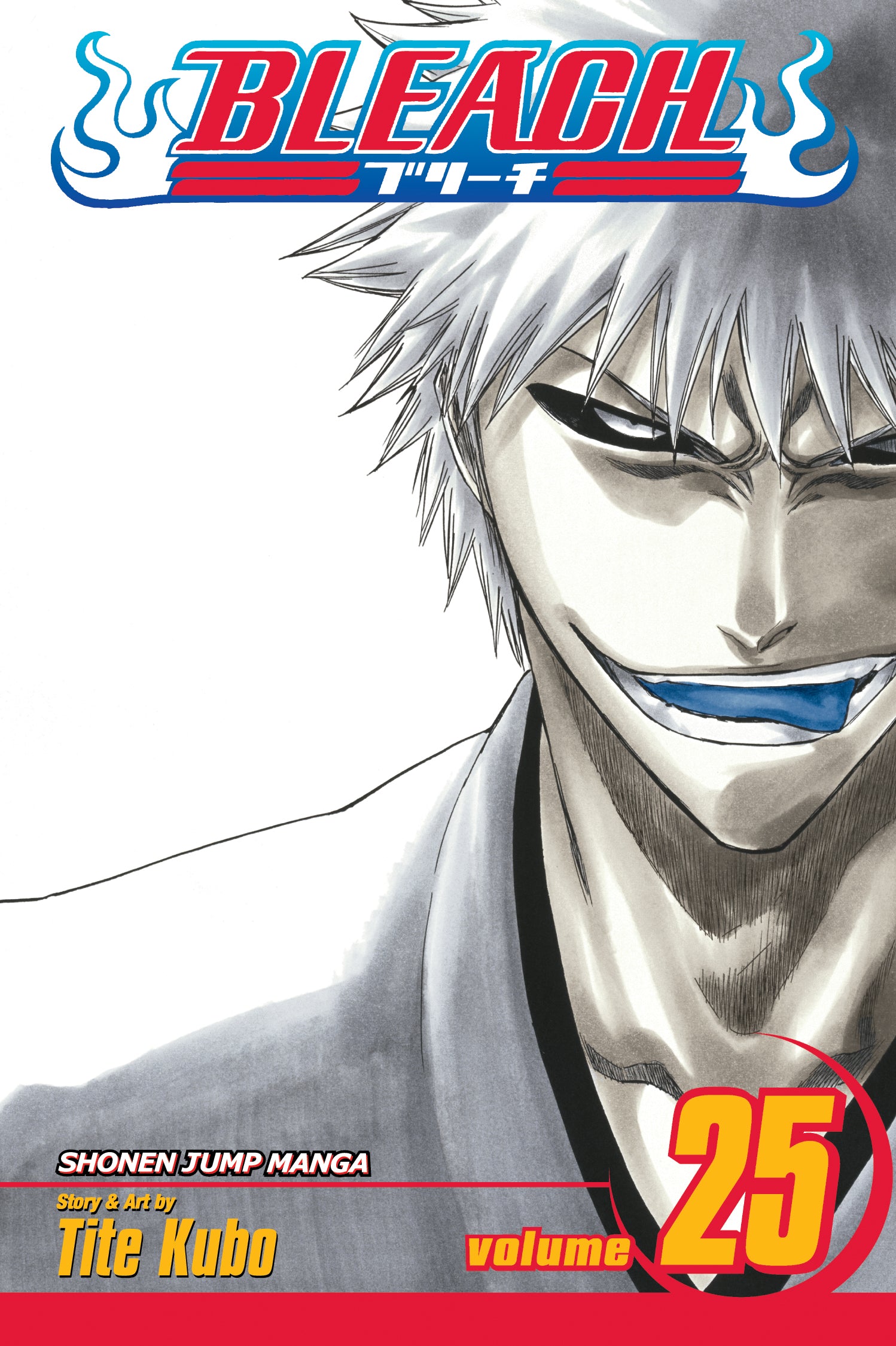Bleach, Vol. 25 — manga cover