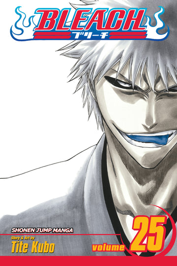Bleach, Vol. 25 — manga cover