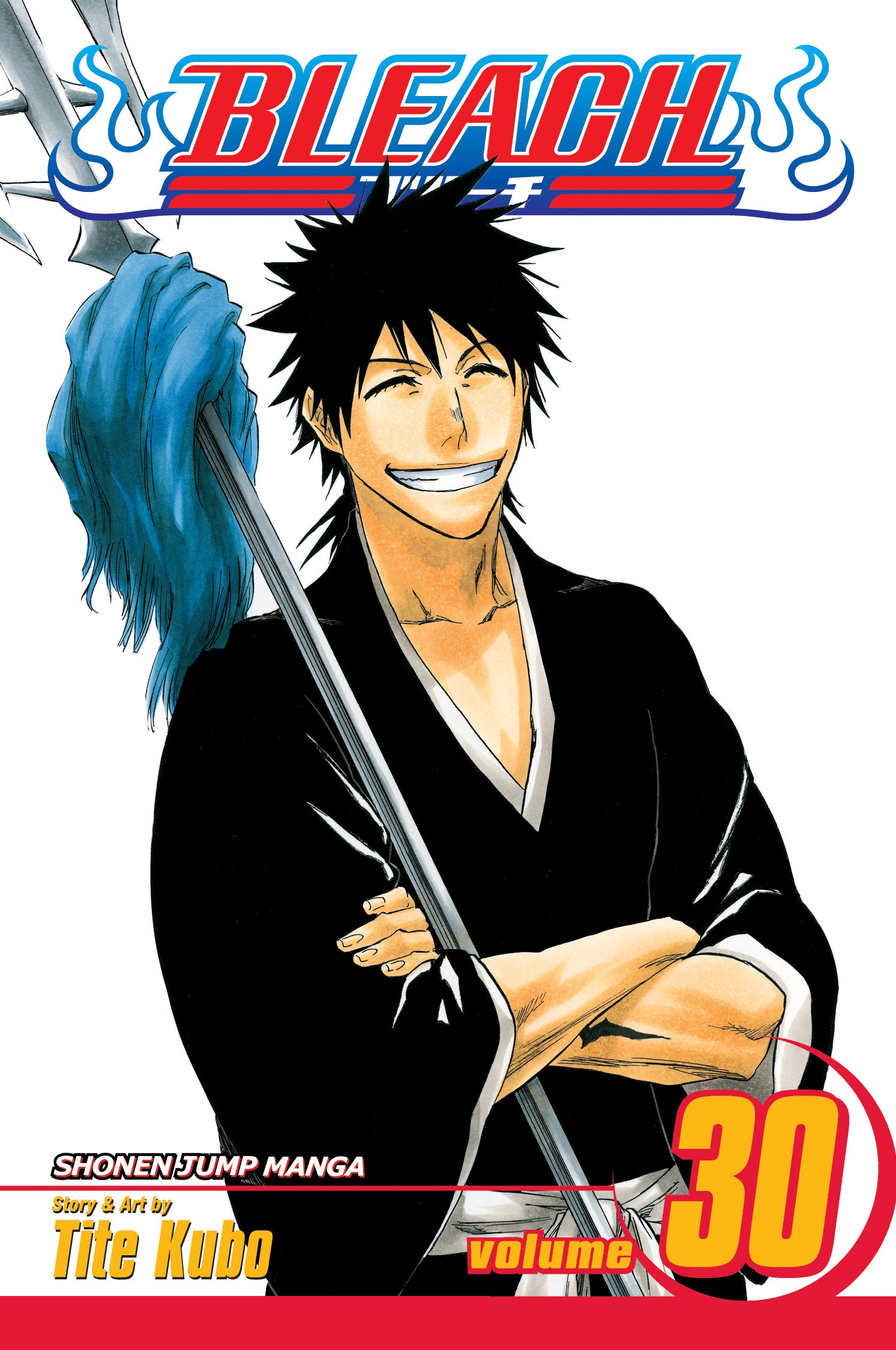 Bleach, Vol. 30 — manga cover