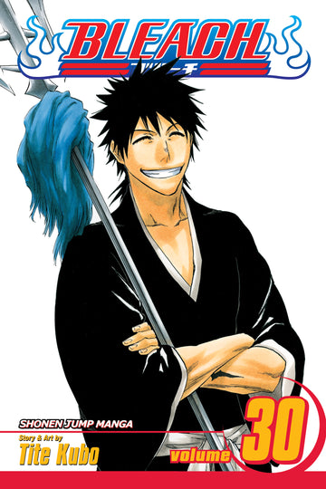 Bleach, Vol. 30 — manga cover