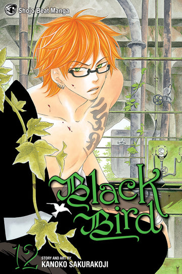 Black Bird, Vol. 12 — manga cover
