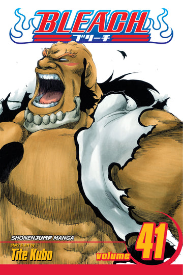 Bleach, Vol. 41 — manga cover