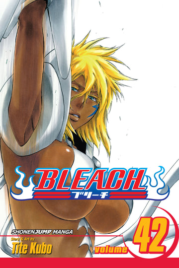 Bleach, Vol. 42 — manga cover