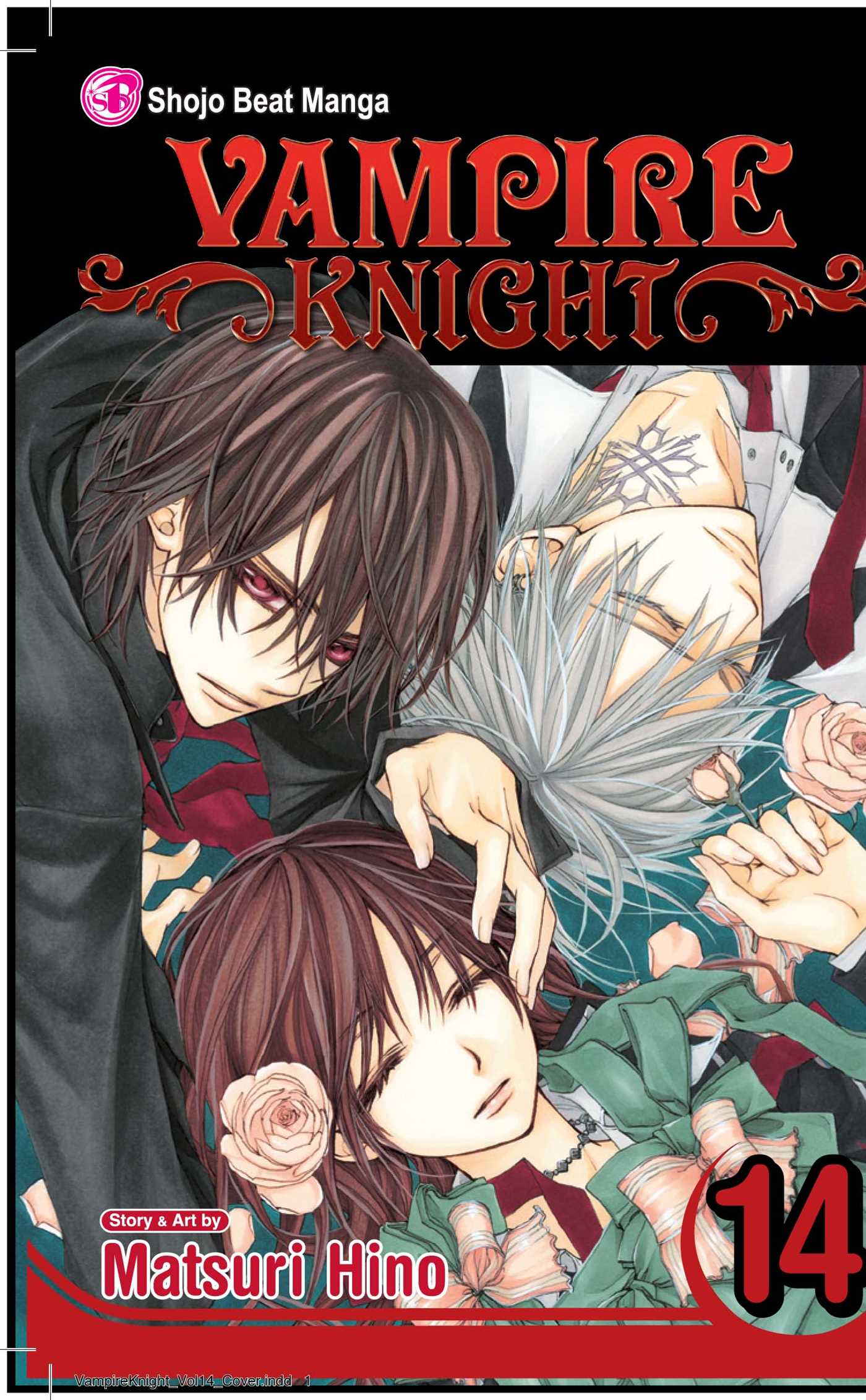 Vampire Knight, Vol. 14 — manga cover