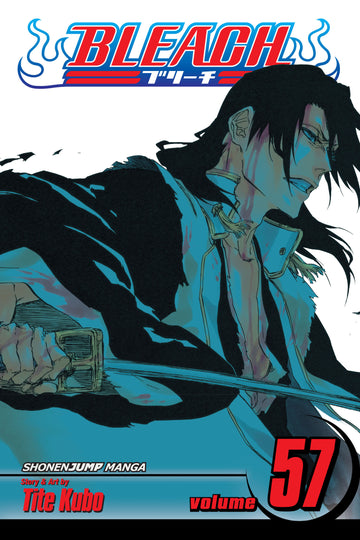 Bleach, Vol. 57 — manga cover