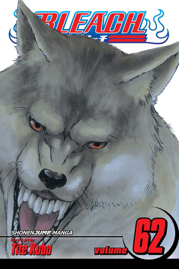 Bleach, Vol. 62 — manga cover
