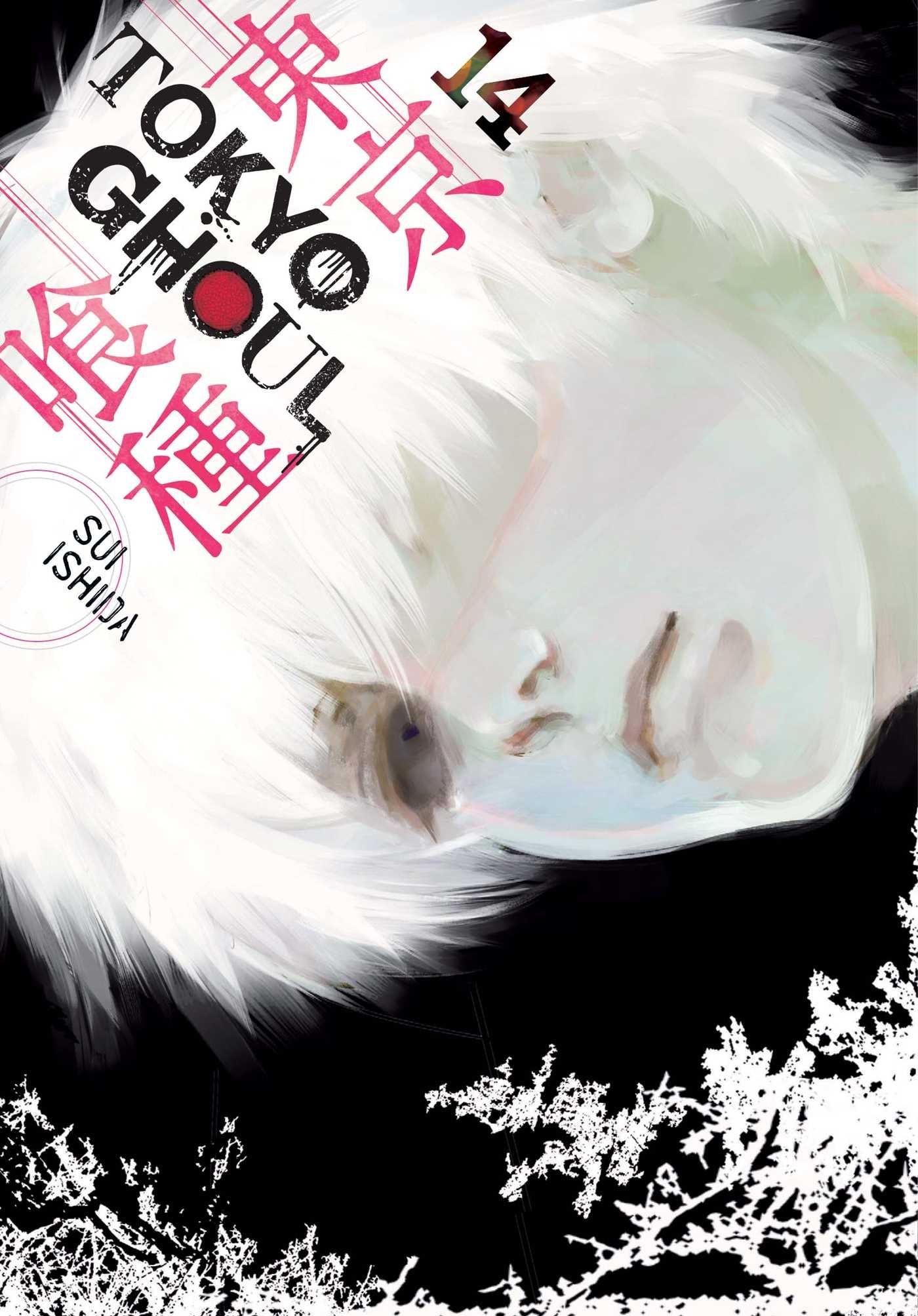 Tokyo Ghoul, Vol. 14 — manga cover