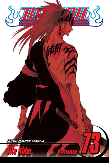Bleach, Vol. 73 — manga cover