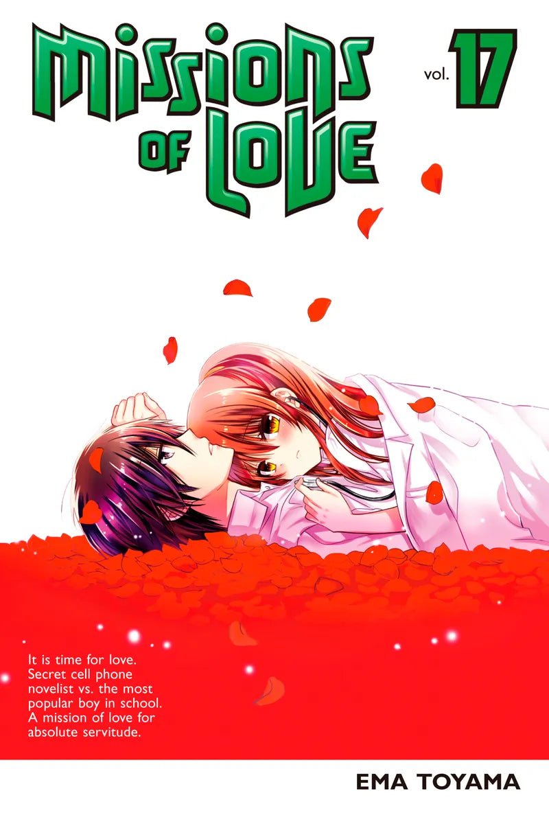 Missions Of Love 17 — manga cover